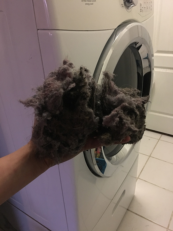 Dryer Vent Cleaning services in Las Vegas